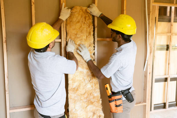 Best Eco-Friendly or Green Insulation Solutions  in Sappington, MO